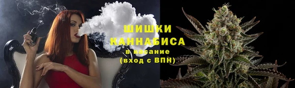 тгк Вяземский